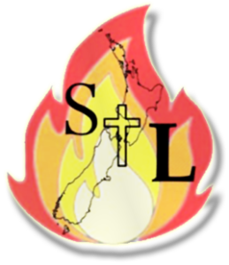 NZ Salt And Light Icon