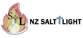 NZ Salt And Light