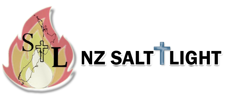 NZ Salt And Light